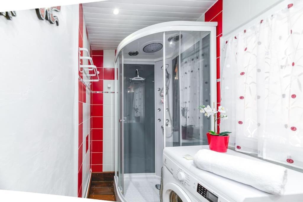 La Salamandre, 40 M2, 1 Chambre, 2 Pas De La Gare Apartment Voiron